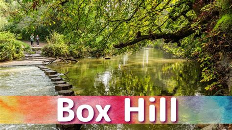 Day Hike: BOX HILL AND THE NORTH DOWNS, London Waterloo station, 22 ...