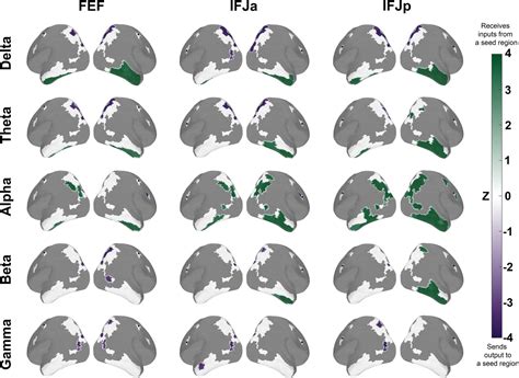 Functional connectivity fingerprints of the frontal eye field and ...