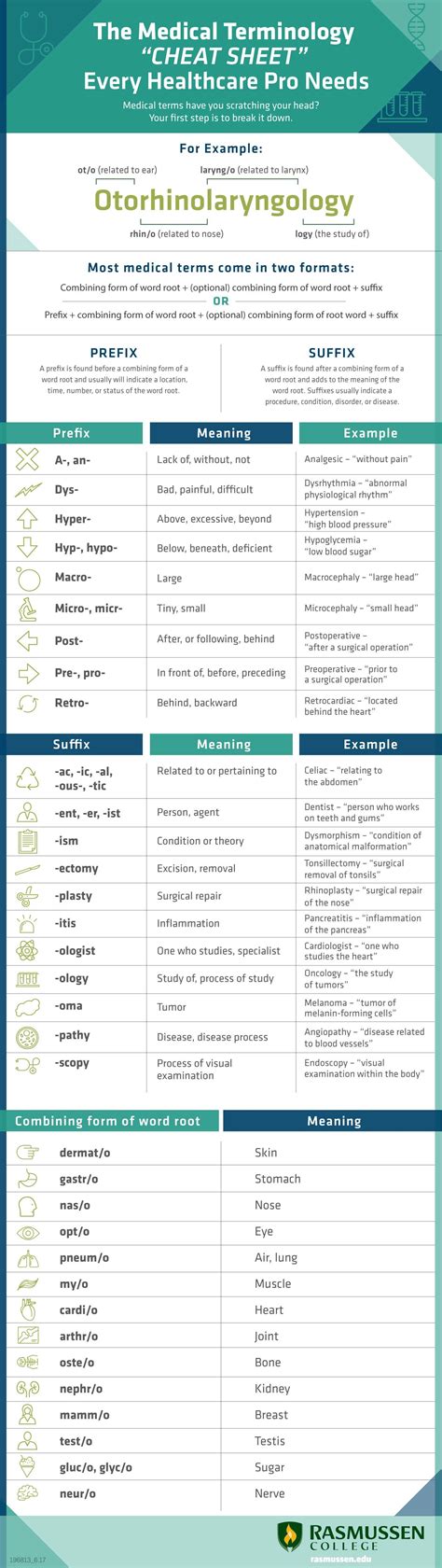 The medical terminology cheat sheet every healthcare pro needs ...