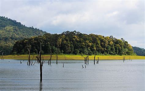 LIST OF TOURIST PLACES IN IDUKKI | TOP TEN TOURIST PLACES IN IDUKKI ...