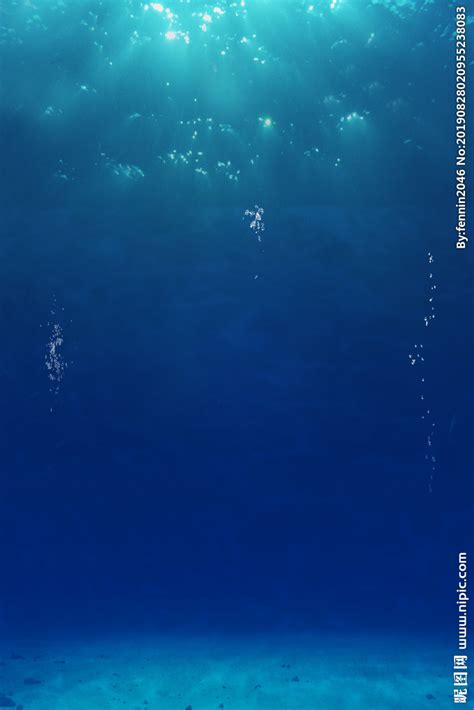 海底水下摄影模板设计图__海报设计_广告设计_设计图库_昵图网nipic.com