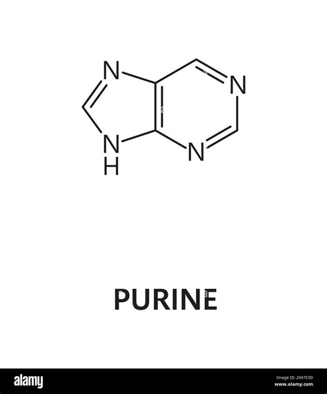 Purine Structure Vs
