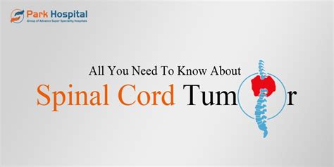 All You Need To Know About Spinal Cord Tumor