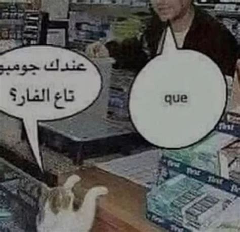 Image result for How Do I Translate Python Out of Arabic Meme