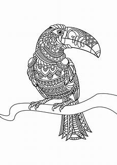 ausmalbilder erwachsene gratis animal coloring pages pdf coloring birds and feathers ausmalbilder erwachsene gratis animal coloring pages pdf coloring birds and feathers