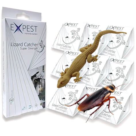 Finzatik Lizard Catcher, Lizard Repellent for Home,eco-Friendly Lizards ...