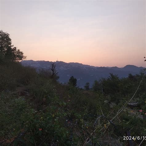 MISTY MOUNTS (Mussoorie) - Hotel Reviews, Photos, Rate Comparison ...