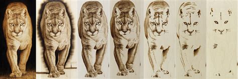 Image result for Pyrography Animals
