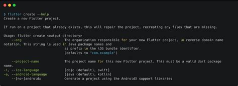 How to Create New Flutter Project in vs Code 的图像结果