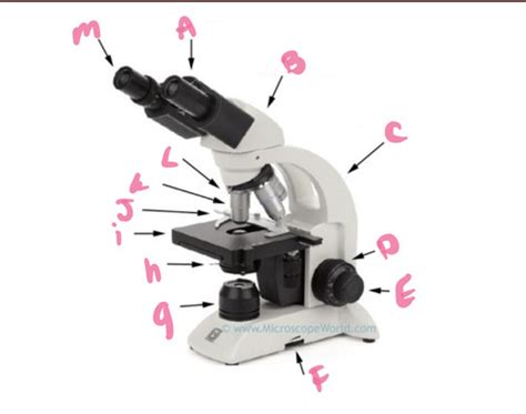 microscope parts Flashcards | Quizlet