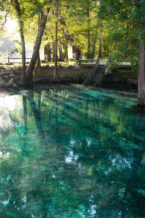 Springs In Florida Keys at Bryan Polley blog