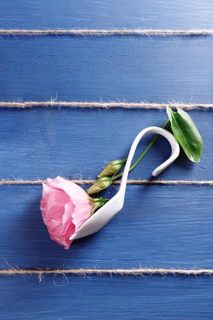 Image result for Beautiful Musical Notes