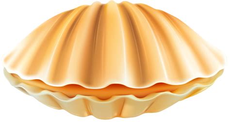 Clam clipart closed, Clam closed Transparent FREE for download on ...