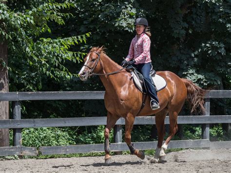 Summer and Winter Camp | Armonk, Briarcliff Manor, & Westchester, NY ...