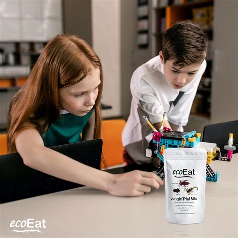ecoEat Edible Bugs Mixed Trail Mix - 11g Bag India | Ubuy