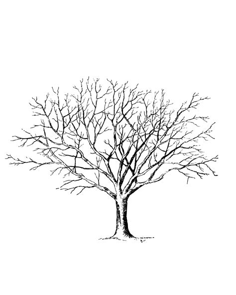 Image result for Garbage Collection in Heap Java