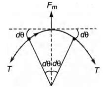 A thin flexible wire of length L is connected to two adjacent fixed ...