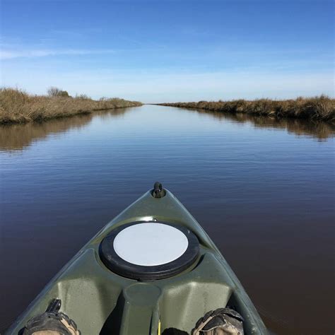 SEA RIM STATE PARK (2026) All You Need to Know BEFORE You Go (with ...