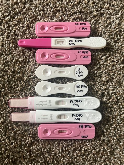 Test 15 Dpo Dollar Tree