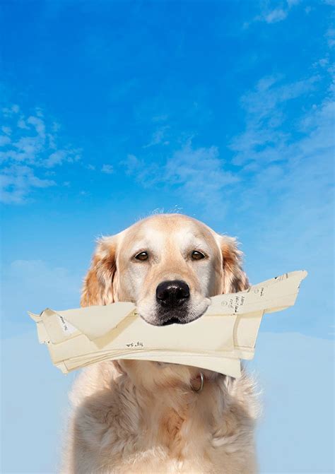 Pattern Design Software Mac 的图像结果