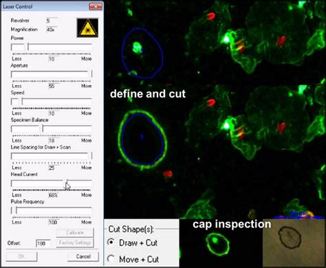 LMD Software Laser Mikrodissektion | Produkte | Leica Microsystems