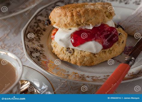 Scone with cream and jam stock photo. Image of plate - 49665016