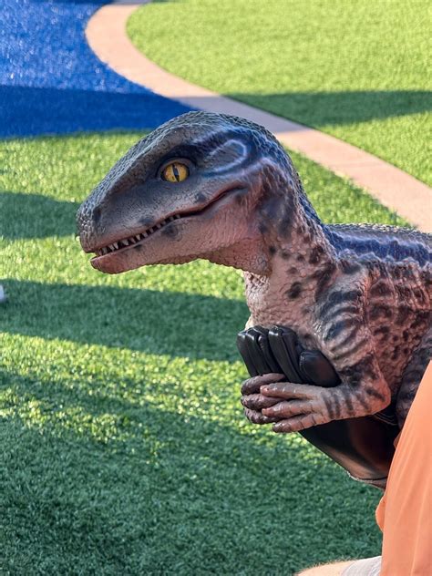 Safe n Sane meet the Dinosaur , Broken Bow Main Street, 30 October 2025 ...