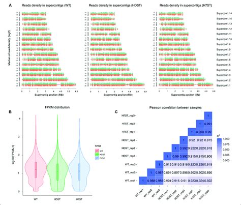 Transcriptome Analysis Image 的图像结果