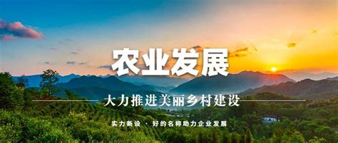 什么是设施农业？设施农业到底能干什么？-江苏绿港现代农业发展有限公司