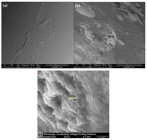 Microbial Degradation of Epoxy