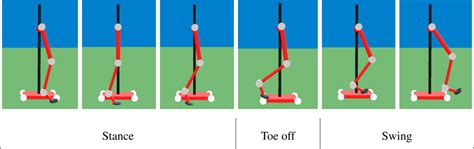 On the Biomimetic Design of Agile-Robot Legs