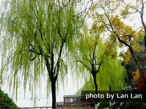The Ten Scenes of West Lake, What to see around West Lake Hangzhou