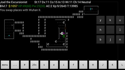 Image result for Playing NetHack