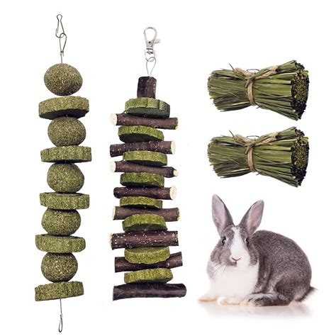 Buy Rabbit Chew Toys for Teeth Grinding,Natural Apple Chewing Sticks ...