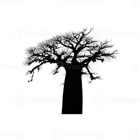 Baobab Silhouette Symbol isolated on transparent background 46823355 PNG
