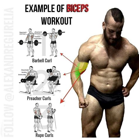 Bicep Routine