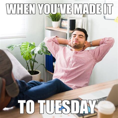 16 Funny Tuesday Memes To Make You Laugh (Tacos Included)