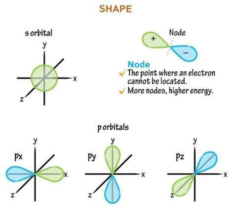 Draw the shapes of s - orbital and p-orbital? - Brainly.in
