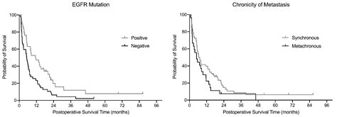 The Effect of Adding Biological Factors to the Decision-Making Process ...