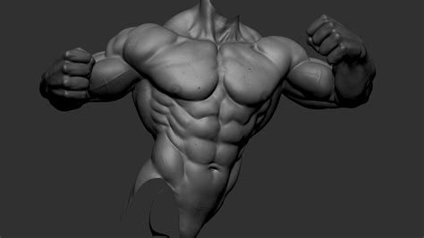 ArtStation - Anatomy Study 003 - Vermomatanu M Anatomy