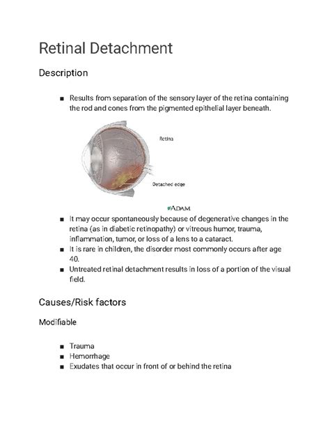Retinal Detachment: Types, Symptoms, Diagnosis & Management - Studocu