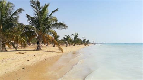 Top 8 beaches In Yanbu: Perfect Spots To Marvel At The Sea Views