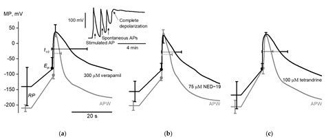 Impact of Mammalian Two-Pore Channel Inhibitors on Long-Distance ...