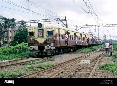 Local Train 的图像结果