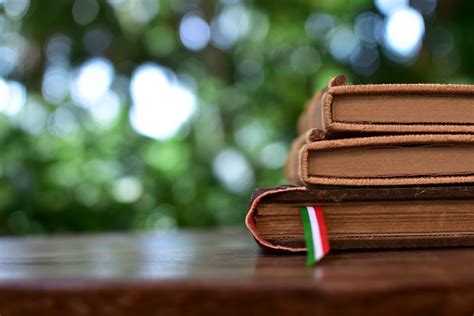 Evoluzione della lingua italiana: dal latino all'italiano moderno ...