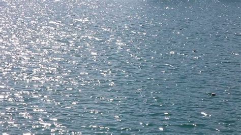 Reflection 的图像结果