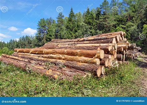 Image result for Lumbering Process