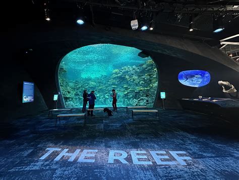 Inside Seattle Aquarium's new Ocean Pavilion, a high-tech showcase for ...