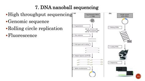 DNA Sequencing Methods 的图像结果