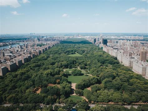 How Big Is Central Park? Complete Size Guide